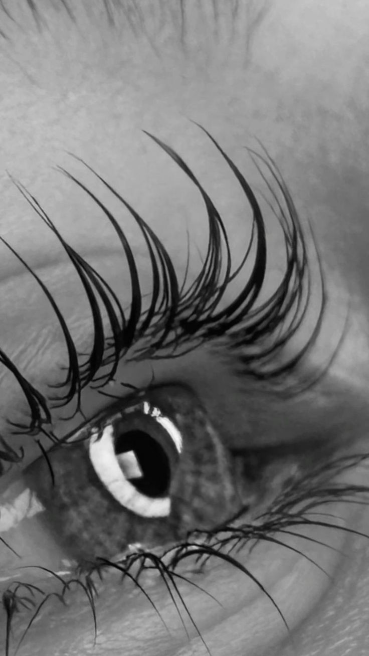 LASH LIFT