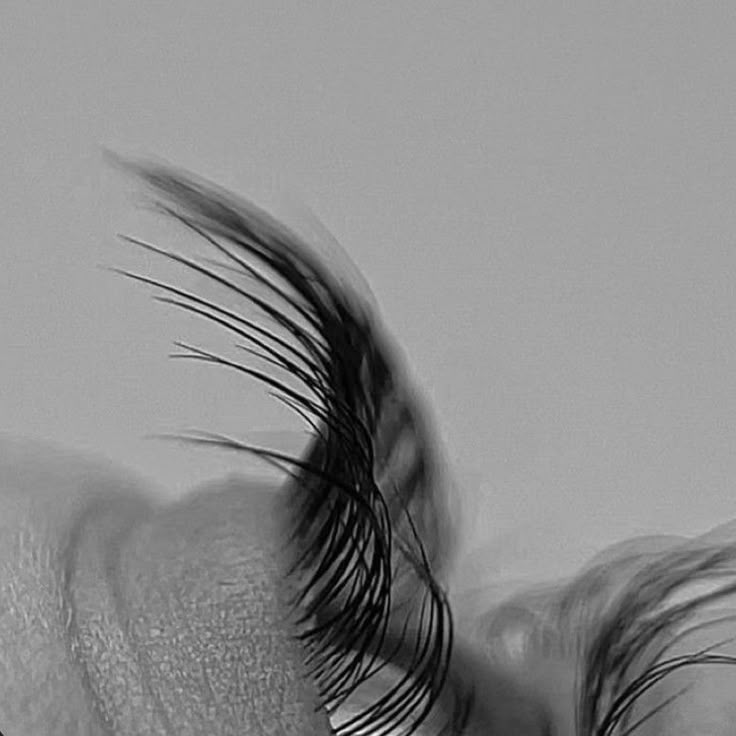 LASH LIFT