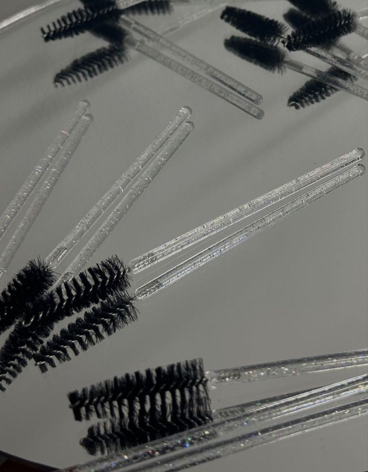 ProLash Disposable Spoolie Set